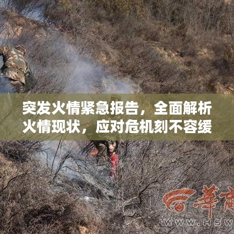 突發(fā)火情緊急報告，全面解析火情現(xiàn)狀，應對危機刻不容緩