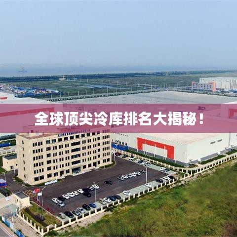 全球頂尖冷庫排名大揭秘！