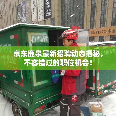 京東鹿泉最新招聘動(dòng)態(tài)揭秘，不容錯(cuò)過(guò)的職位機(jī)會(huì)！