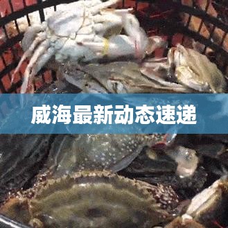 威海最新動(dòng)態(tài)速遞
