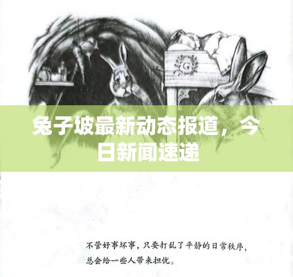 兔子坡最新動態(tài)報道，今日新聞速遞