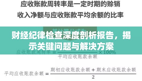財(cái)經(jīng)紀(jì)律檢查深度剖析報(bào)告，揭示關(guān)鍵問(wèn)題與解決方案