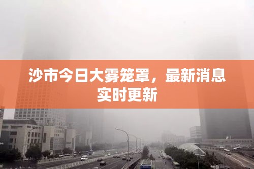 沙市今日大霧籠罩，最新消息實(shí)時(shí)更新