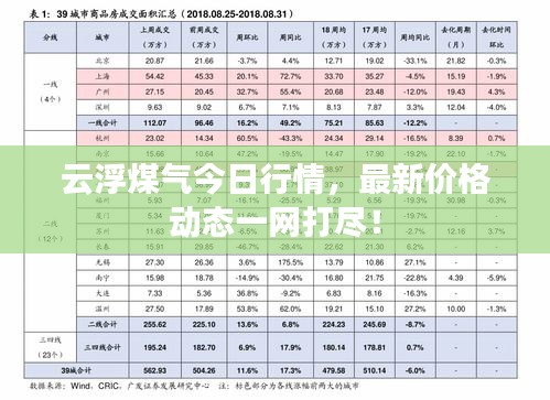 云浮煤氣今日行情，最新價(jià)格動(dòng)態(tài)一網(wǎng)打盡！
