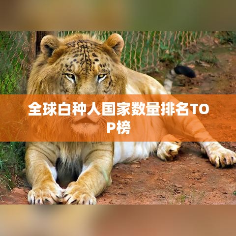 臼灶生蛙 第2頁(yè)