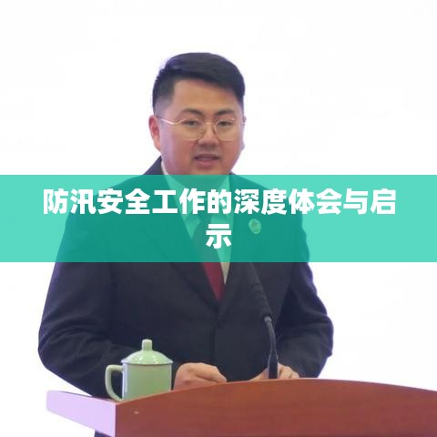 防汛安全工作的深度體會(huì)與啟示