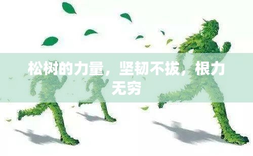 松樹的力量，堅韌不拔，根力無窮