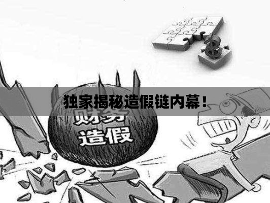 獨(dú)家揭秘造假鏈內(nèi)幕！