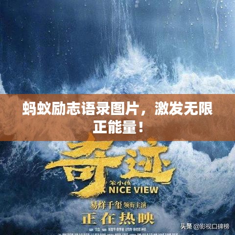 螞蟻勵(lì)志語錄圖片，激發(fā)無限正能量！