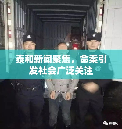 泰和新聞聚焦，命案引發(fā)社會廣泛關(guān)注