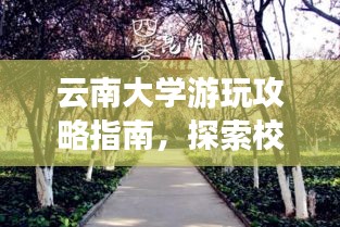 云南大學游玩攻略指南，探索校園美景，體驗云南風情