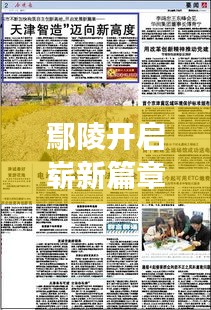 鄢陵開啟嶄新篇章，今日新聞頭條聚焦發(fā)展盛事