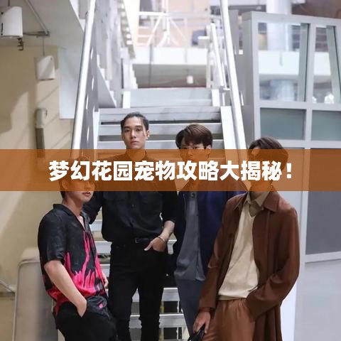 夢幻花園寵物攻略大揭秘！