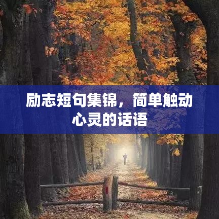 勵志短句集錦，簡單觸動心靈的話語