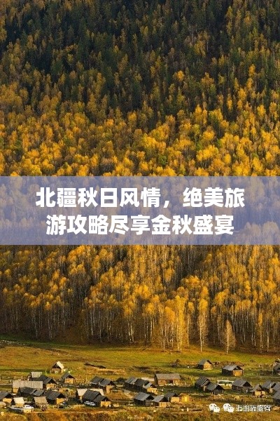 北疆秋日風(fēng)情，絕美旅游攻略盡享金秋盛宴