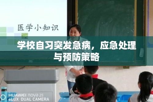 學(xué)貫中西