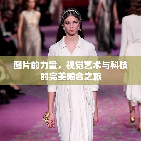 圖片的力量，視覺(jué)藝術(shù)與科技的完美融合之旅
