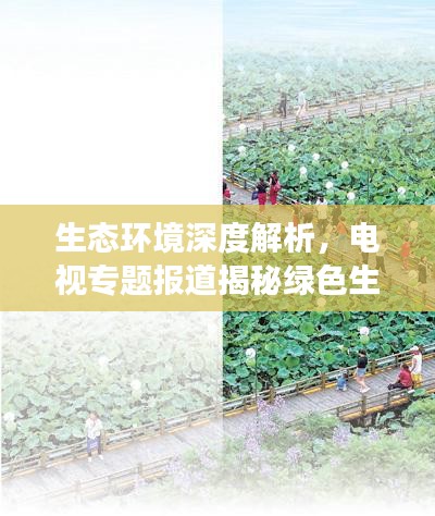 生態(tài)環(huán)境深度解析，電視專題報道揭秘綠色生態(tài)發(fā)展之路