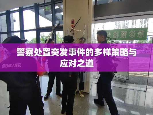警察處置突發(fā)事件的多樣策略與應(yīng)對(duì)之道