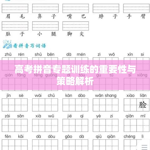 高考拼音專題訓(xùn)練的重要性與策略解析