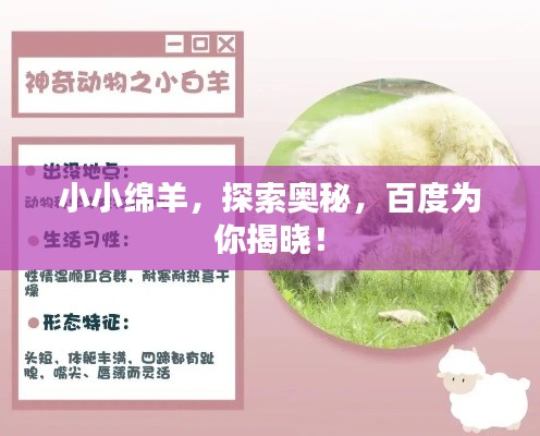 小小綿羊，探索奧秘，百度為你揭曉！