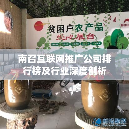 南召互聯(lián)網(wǎng)推廣公司排行榜及行業(yè)深度剖析