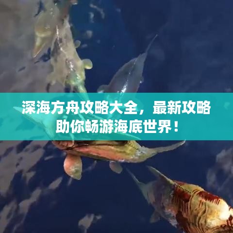 深海方舟攻略大全，最新攻略助你暢游海底世界！