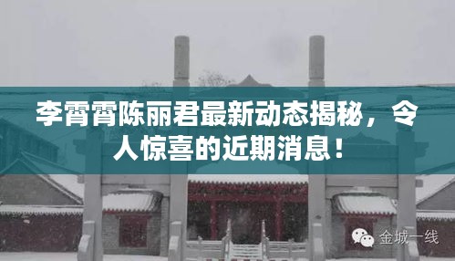 李霄霄陳麗君最新動(dòng)態(tài)揭秘，令人驚喜的近期消息！