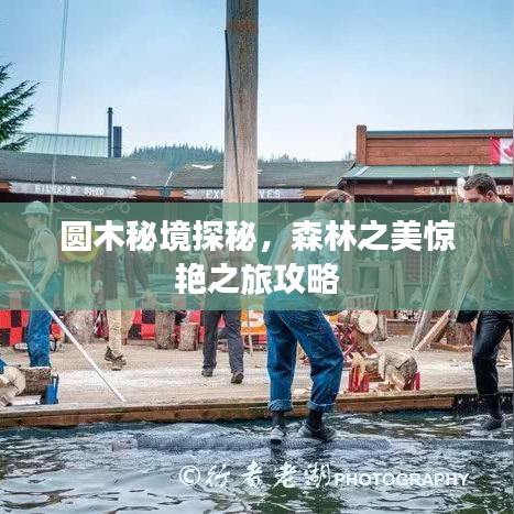 圓木秘境探秘，森林之美驚艷之旅攻略