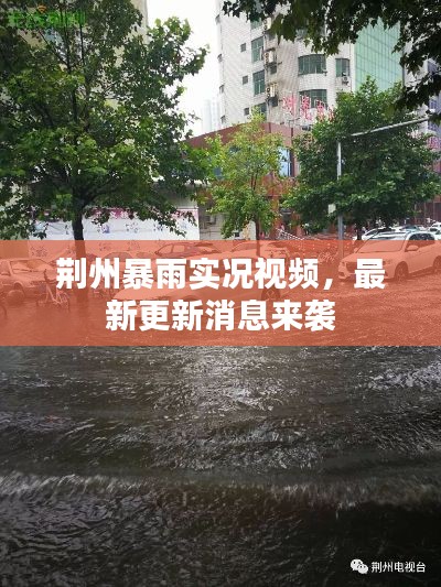荊州暴雨實(shí)況視頻，最新更新消息來襲