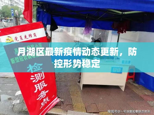 高談闊論