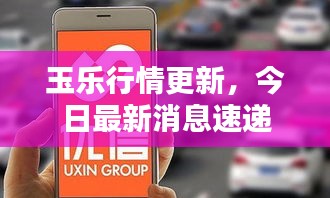 玉樂行情更新，今日最新消息速遞