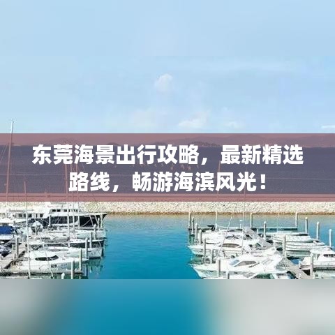 東莞海景出行攻略，最新精選路線，暢游海濱風(fēng)光！