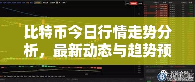 比特幣今日行情走勢分析，最新動態(tài)與趨勢預(yù)測