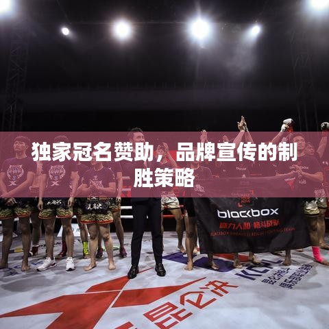 獨家冠名贊助，品牌宣傳的制勝策略