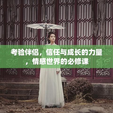 考驗(yàn)伴侶，信任與成長(zhǎng)的力量，情感世界的必修課