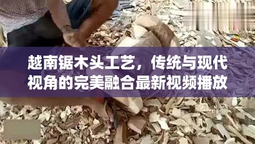 越南鋸木頭工藝，傳統(tǒng)與現代視角的完美融合最新視頻播放
