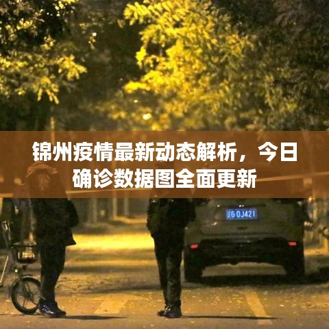 錦州疫情最新動(dòng)態(tài)解析，今日確診數(shù)據(jù)圖全面更新