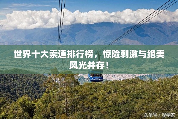 物以希為貴