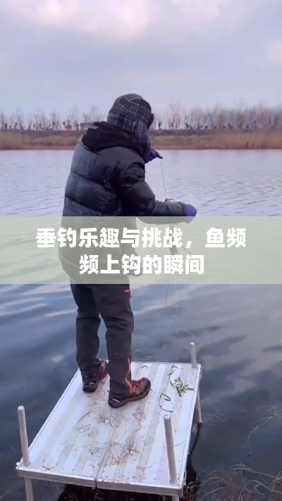 垂釣樂(lè)趣與挑戰(zhàn)，魚頻頻上鉤的瞬間