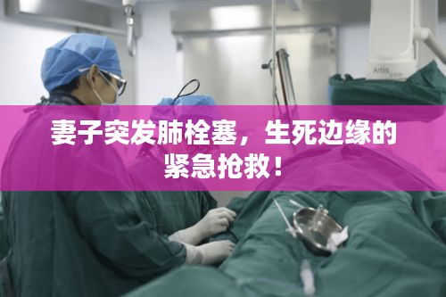 因陋就簡