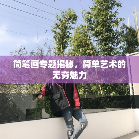 簡筆畫專題揭秘，簡單藝術的無窮魅力