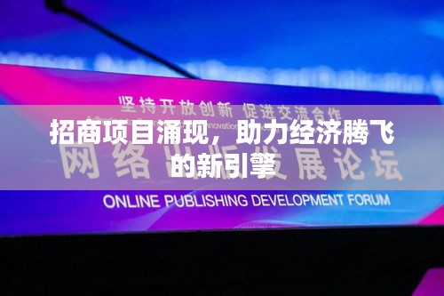 招商項(xiàng)目涌現(xiàn)，助力經(jīng)濟(jì)騰飛的新引擎