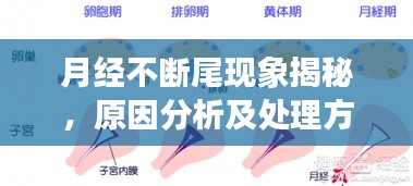 月經(jīng)不斷尾現(xiàn)象揭秘，原因分析及處理方法