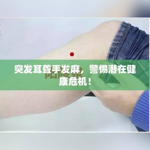 斗志昂揚(yáng)