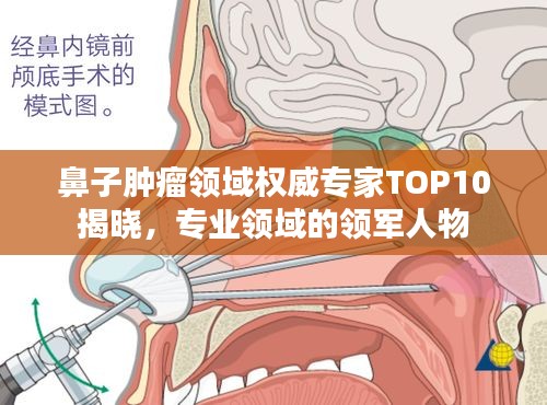 鼻子腫瘤領(lǐng)域權(quán)威專家TOP10揭曉，專業(yè)領(lǐng)域的領(lǐng)軍人物