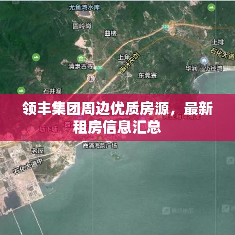 一絲不茍