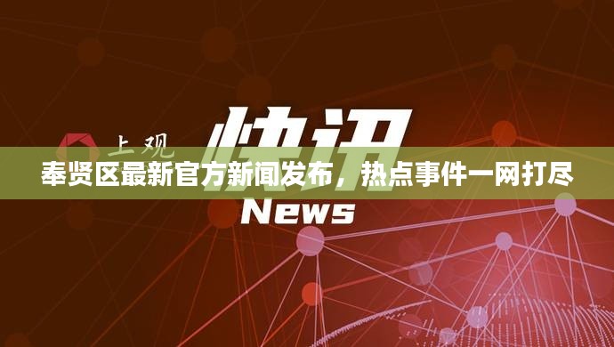 奉賢區(qū)最新官方新聞發(fā)布，熱點(diǎn)事件一網(wǎng)打盡