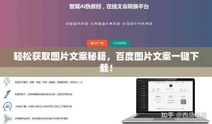 無獨(dú)有偶