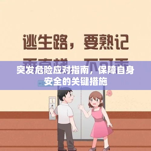 突發(fā)危險(xiǎn)應(yīng)對(duì)指南，保障自身安全的關(guān)鍵措施